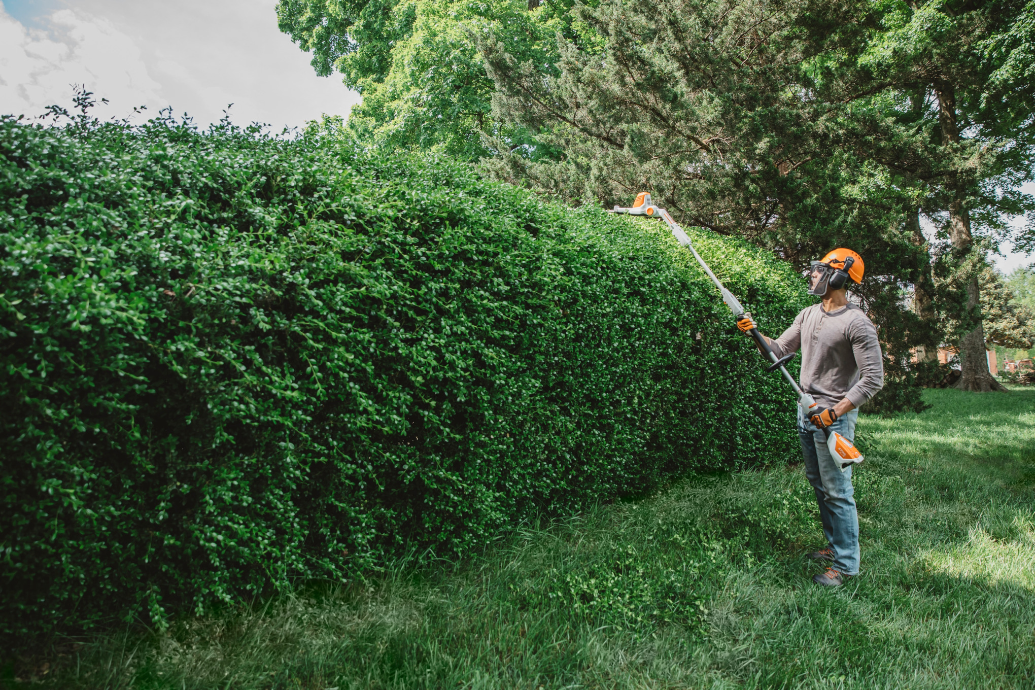 STIHL HLA 56 Battery Powered extended-reach Hedge Trimmer
