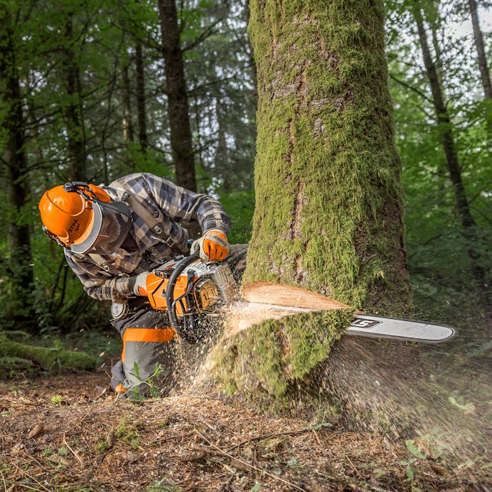 STIHL MS 500¡ R